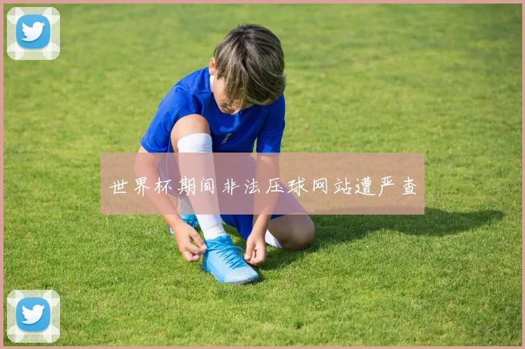 世界杯期间非法压球网站遭严查