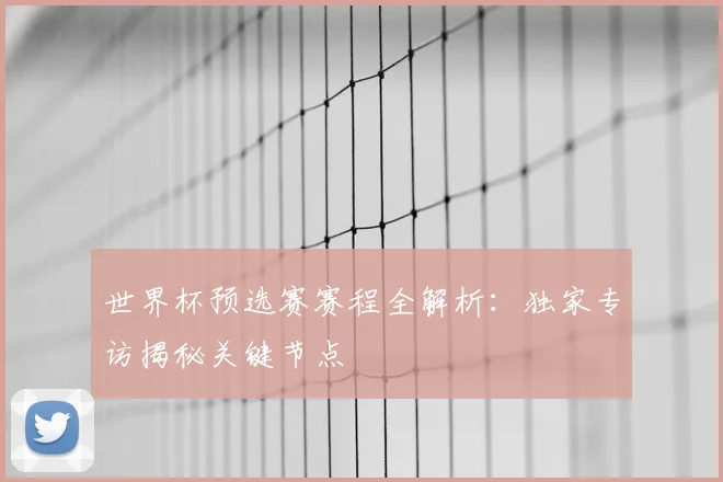 世界杯预选赛赛程全解析:独家专访揭秘关键节点