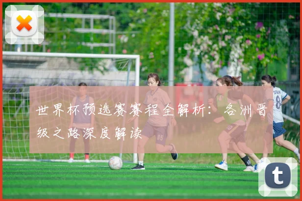 世界杯预选赛赛程全解析：各洲晋级之路深度解读