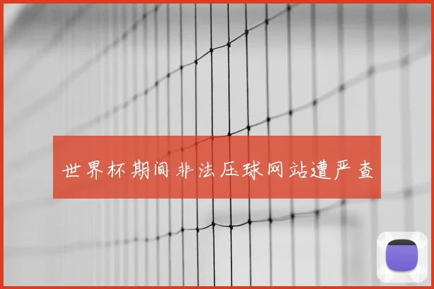世界杯期间非法压球网站遭严查